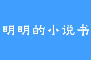 明明的小说书