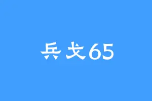 兵戈65