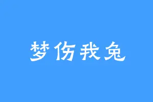 梦伤我兔