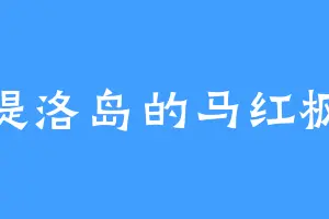 提洛岛的马红枫