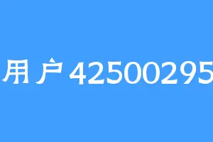 用户42500295