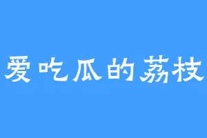 爱吃瓜的荔枝