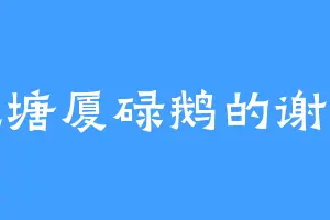爱吃塘厦碌鹅的谢医生