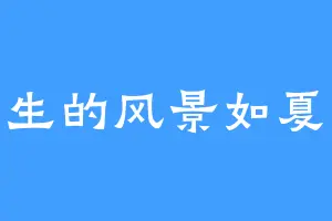 一生的风景如夏花