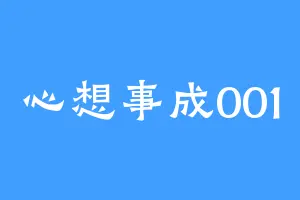 心想事成001