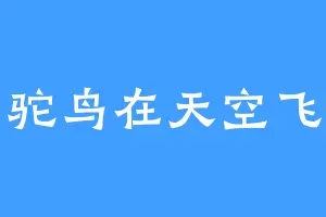 驼鸟在天空飞