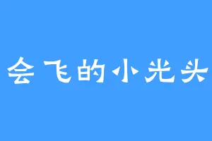 会飞的小光头