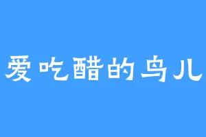 爱吃醋的鸟儿