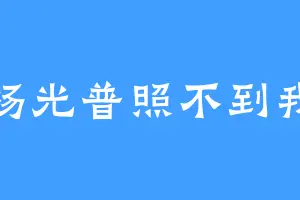 杨光普照不到我