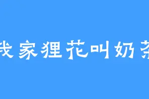 我家狸花叫奶茶