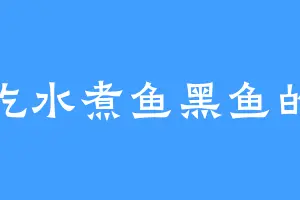 爱吃水煮鱼黑鱼的我