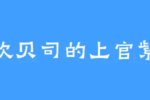 喜欢贝司的上官紫苏