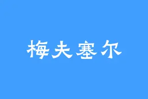 梅夫塞尔