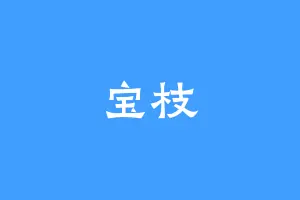 宝枝
