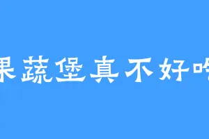 果蔬堡真不好吃