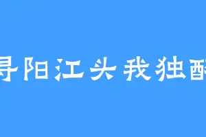 浔阳江头我独醉