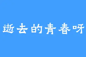 逝去的青春呀