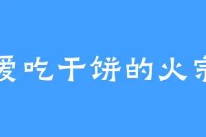 爱吃干饼的火宗