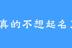 我真的不想起名了9