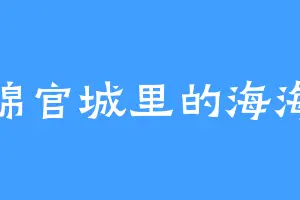 锦官城里的海海