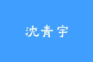 沈青宇