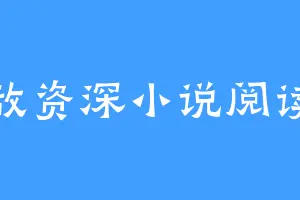 无敌资深小说阅读家