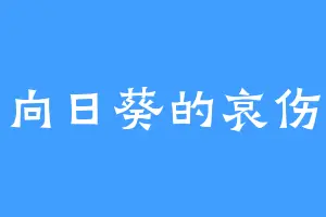 向日葵的哀伤
