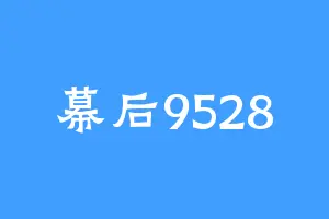 幕后9528