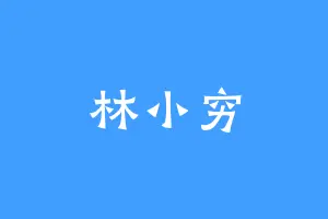 林小穷