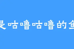 是咕噜咕噜的鱼