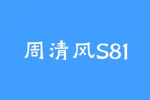 周清风S81