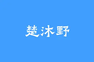 楚沐野