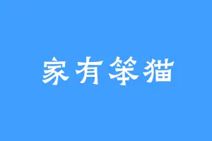 家有笨猫