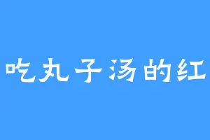爱吃丸子汤的红玉