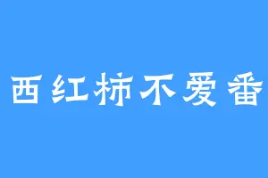 爱西红柿不爱番茄