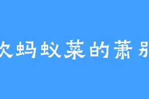 喜欢蚂蚁菜的萧别武