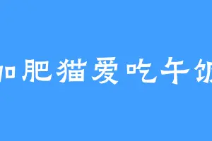 加肥猫爱吃午饭