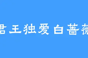 君王独爱白蔷薇