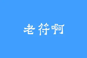 老符啊