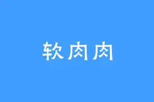 软肉肉