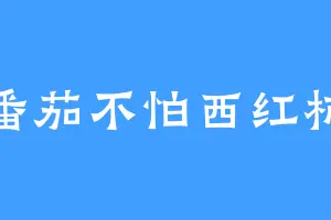番茄不怕西红柿