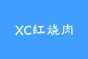 XC红烧肉