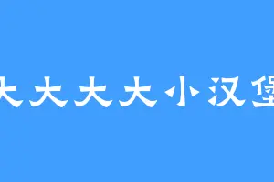 大大大大小汉堡