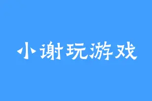 小谢玩游戏