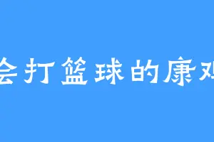 会打篮球的康鸡