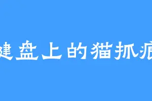 键盘上的猫抓痕