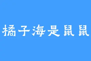 橘子海是鼠鼠