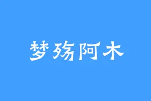 梦殇阿木