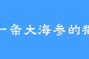 像一条大海参的猫猫