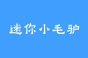 迷你小毛驴
